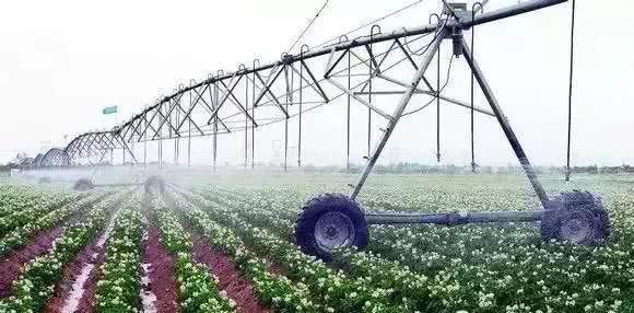 以色列農(nóng)業(yè)技術(shù)開發(fā) 如何實現(xiàn)'一分耕耘，十分收獲'